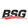 BSG