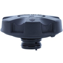 Τάπα δοχείου ψυκτικού υγρού BMW 2 (F22, F87), 2 (G42, G87), 3 (E90), 3 (E92), 3 (E93), 3 (F30, F80), 3 (G20, G80, G28), 4 (F32, F82), 4 (F33, F83), 4 (G22, G82) 0.8-Electric 09.00-