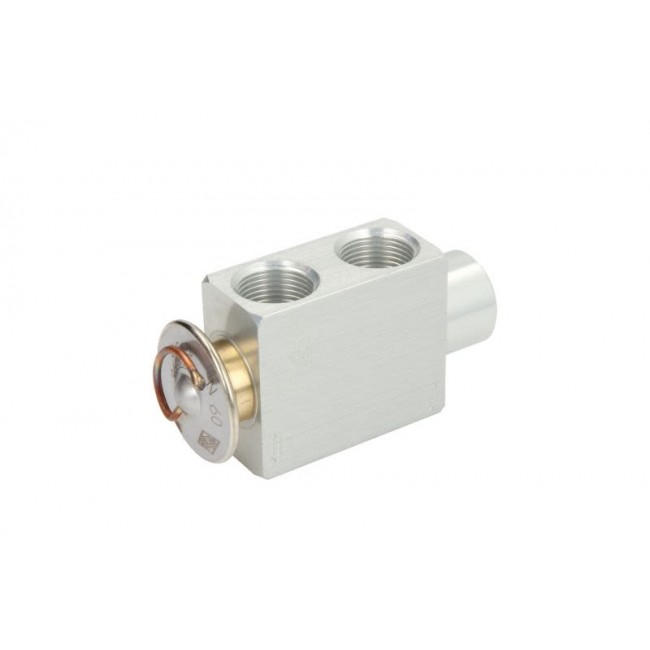 Βαλβίδα εκτόνωσης, συστήματος κλιματιστικού PORSCHE CAYENNE; RENAULT 21 1.7-4.5 03.86-09.07 Βαλβίδα εκτόνωσης, συστήματος κλιματιστικού PORSCHE CAYENNE; RENAULT 21 1.7-4.5 03.86-09.07