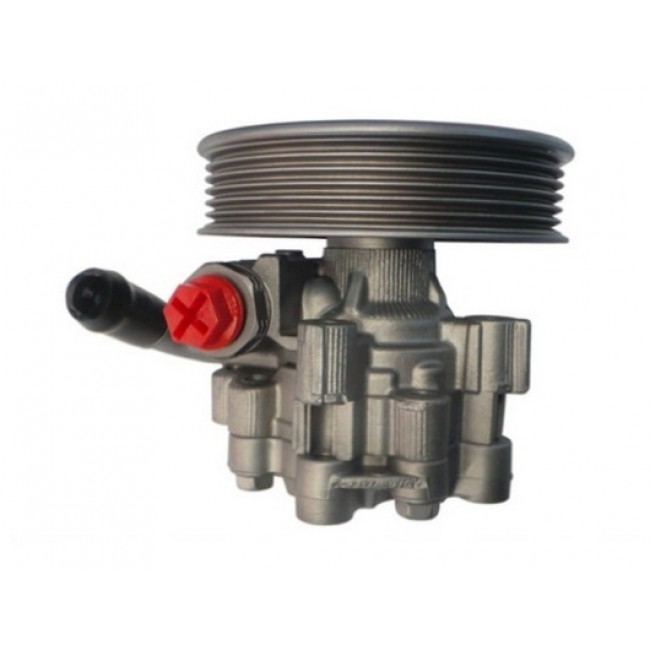 Πυξίδα διεύθυνσης/αντλία CHEVROLET CAPTIVA; OPEL ANTARA A 2.2D 12.10- Πυξίδα διεύθυνσης/αντλία CHEVROLET CAPTIVA; OPEL ANTARA A 2.2D 12.10-