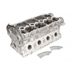 Κυλινδροκεφαλή AUDI A3, A4 B7, A6 C6, TT; SEAT ALTEA, ALTEA XL, EXEO, EXEO ST, LEON, TOLEDO III; SKODA OCTAVIA II; VW EOS, GOLF V, GOLF VI, JETTA III, PASSAT B6, POLO V 2.0 09.04-11.17