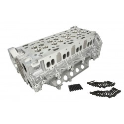 Κυλινδροκεφαλή NISSAN NV400; OPEL MOVANO B, VIVARO A; RENAULT GRAND SCENIC III, MASTER III, MEGANE, MEGANE III, SCENIC III, TRAFIC II 2.0D/2.3D 01.06-