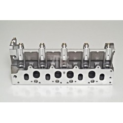 Κυλινδροκεφαλή OPEL ARENA; RENAULT CLIO II, KANGOO, KANGOO EXPRESS, LAGUNA II, MEGANE I, MEGANE I CLASSIC, MEGANE SCENIC, SCENIC I, THALIA I, TRAFIC 1.9D 08.95-