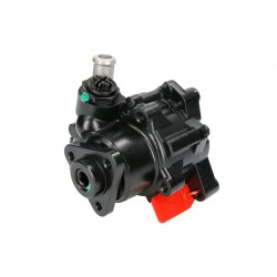 Πυξίδα διεύθυνσης/αντλία MERCEDES M (W163), S (W220) 4.0D 06.00-08.05