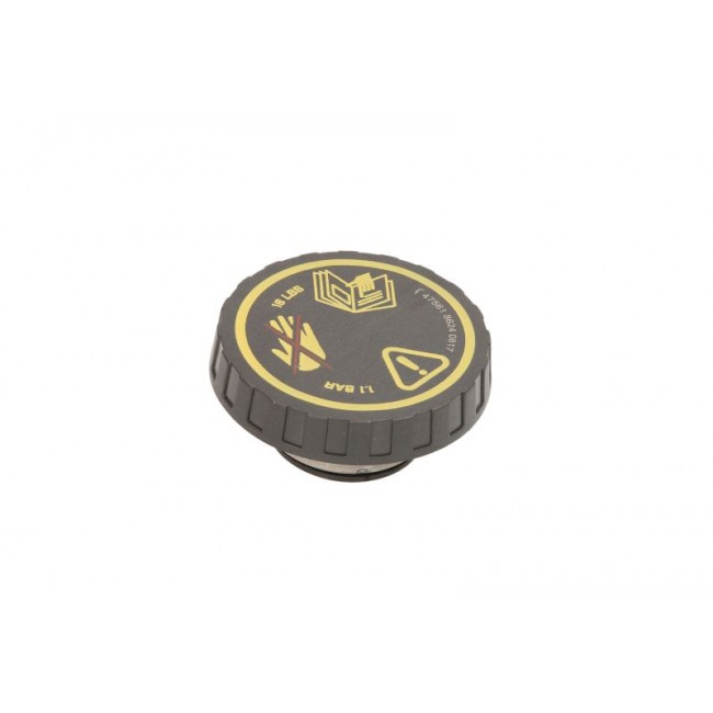 Τάπα κλεισίματος, ψύκτης MINI (R50, R53), (R52) 1.6 06.01-07.08 Τάπα κλεισίματος, ψύκτης MINI (R50, R53), (R52) 1.6 06.01-07.08